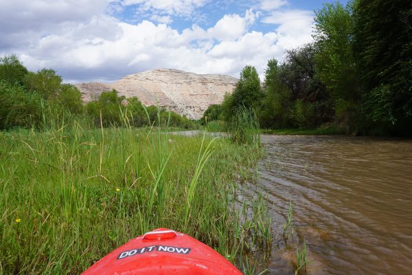 Paddling the Verde River