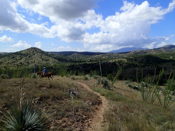 Horseback Riding near Sonoita