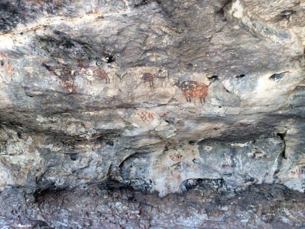 Visit www.trailsinspire.com to learn more about Tusayan