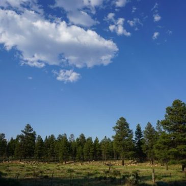 Visit www.trailsinspire.com to learn more about Tusayan