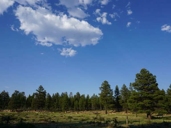 Visit www.trailsinspire.com to learn more about Tusayan