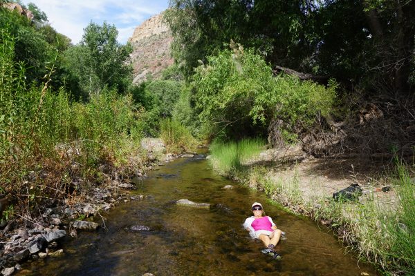 Keeping cool in Aravaipa Canyon