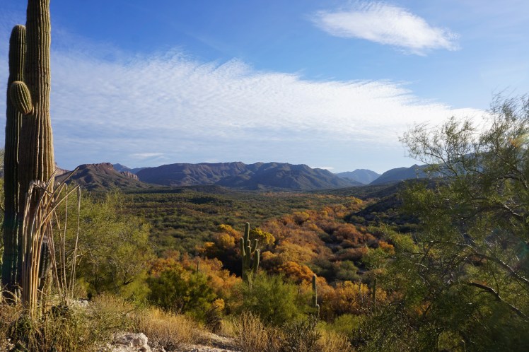 Arizona Trail - Gila River Canyons